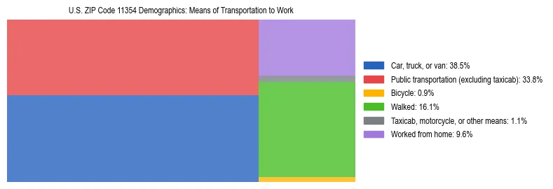 Treemap showing means of transportation to work distribution in US ZIP Code 11354.