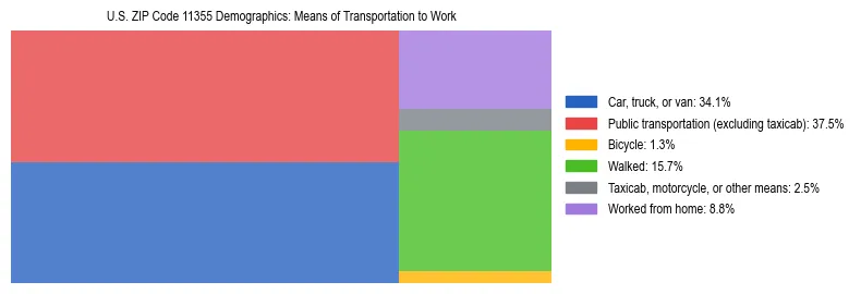 Treemap showing means of transportation to work distribution in US ZIP Code 11355.