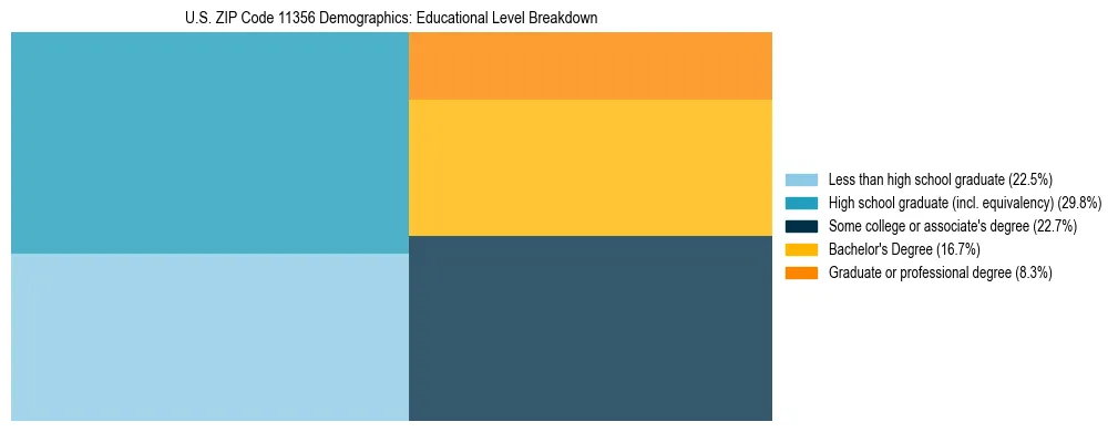 Treemap chart illustrating the educational attainment breakdown for population 25 years and over in US ZIP Code 11356.