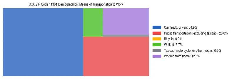 Treemap showing means of transportation to work distribution in US ZIP Code 11361.