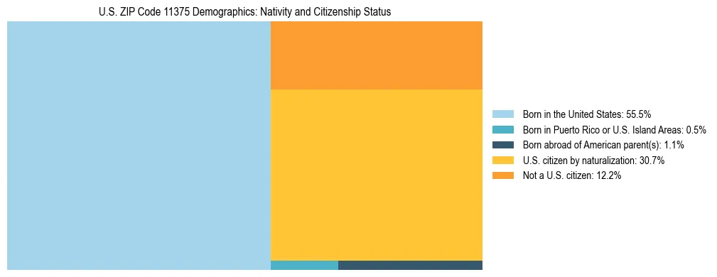 Treemap showing the population distribution by nativity and citizenship status in US ZIP Code 11375 based on U.S. Census data.