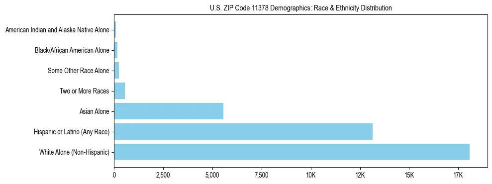 Race and Ethnicity Distribution Chart for US ZIP Code 11378