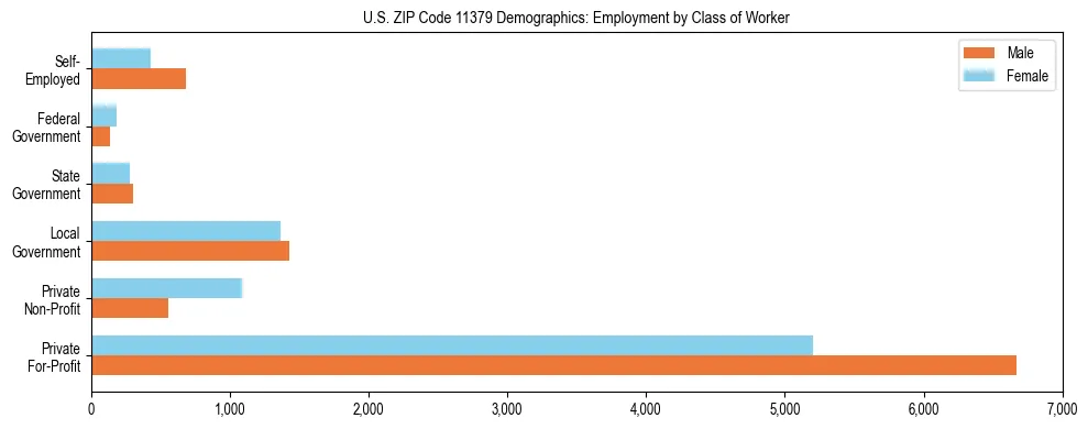 Horizontal bar chart showing employment distribution by class of worker and gender in US ZIP Code 11379, based on 2023 ACS data.