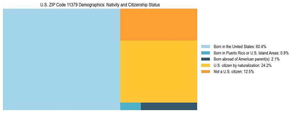 Treemap showing the population distribution by nativity and citizenship status in US ZIP Code 11379 based on U.S. Census data.