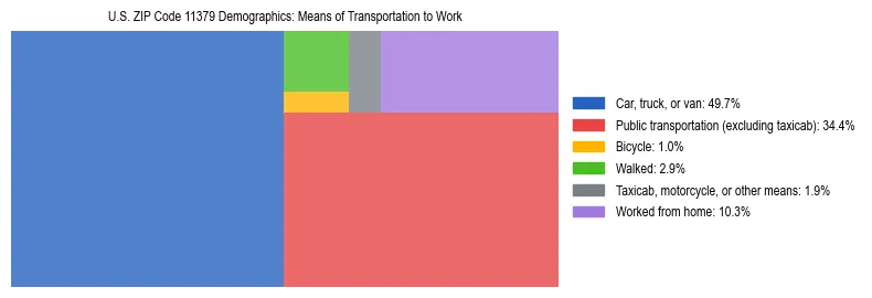 Treemap showing means of transportation to work distribution in US ZIP Code 11379.