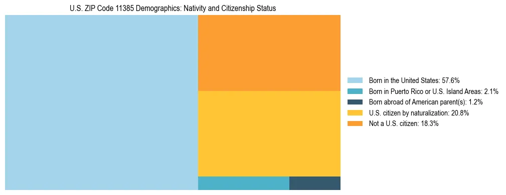 Treemap showing the population distribution by nativity and citizenship status in US ZIP Code 11385 based on U.S. Census data.