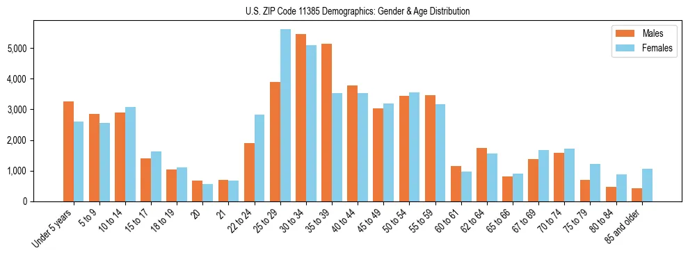 Bar chart showing the population distribution of US ZIP Code 11385 by age group and gender, based on 2023 ACS data.