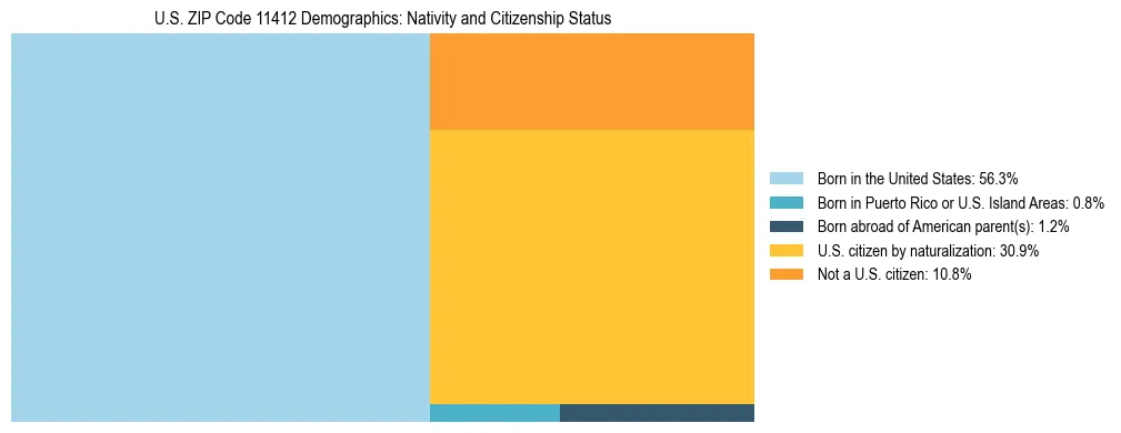 Treemap showing the population distribution by nativity and citizenship status in US ZIP Code 11412 based on U.S. Census data.