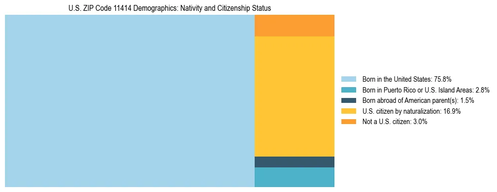 Treemap showing the population distribution by nativity and citizenship status in US ZIP Code 11414 based on U.S. Census data.