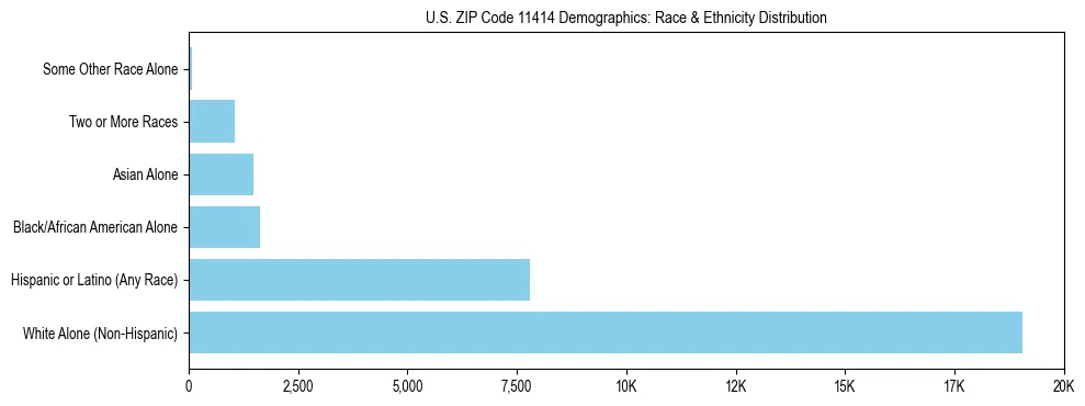 Race and Ethnicity Distribution Chart for US ZIP Code 11414