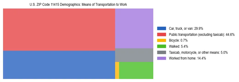 Treemap showing means of transportation to work distribution in US ZIP Code 11415.