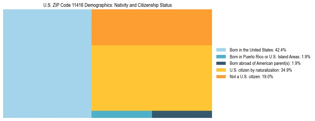 Treemap showing the population distribution by nativity and citizenship status in US ZIP Code 11416 based on U.S. Census data.