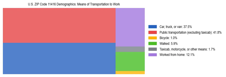Treemap showing means of transportation to work distribution in US ZIP Code 11416.