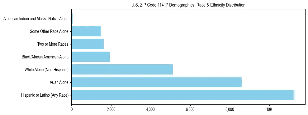 Race and Ethnicity Distribution Chart for US ZIP Code 11417