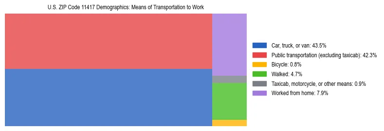 Treemap showing means of transportation to work distribution in US ZIP Code 11417.