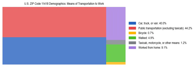 Treemap showing means of transportation to work distribution in US ZIP Code 11418.