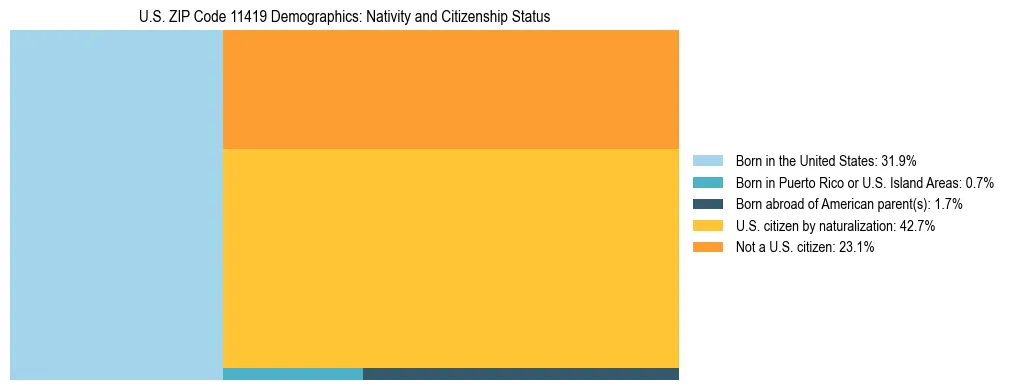 Treemap showing the population distribution by nativity and citizenship status in US ZIP Code 11419 based on U.S. Census data.