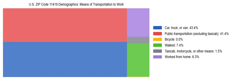 Treemap showing means of transportation to work distribution in US ZIP Code 11419.