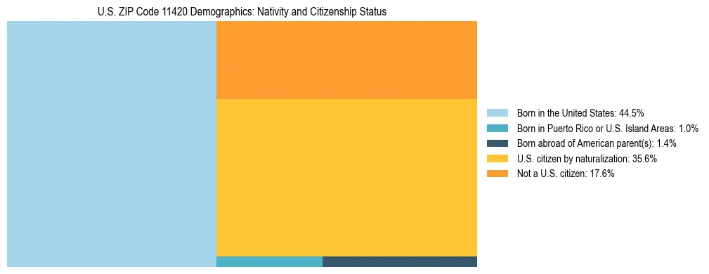 Treemap showing the population distribution by nativity and citizenship status in US ZIP Code 11420 based on U.S. Census data.