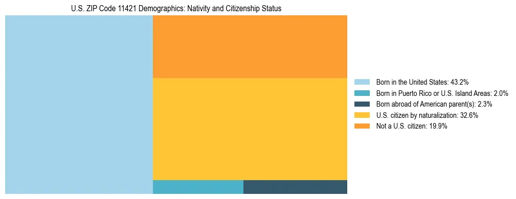 Treemap showing the population distribution by nativity and citizenship status in US ZIP Code 11421 based on U.S. Census data.