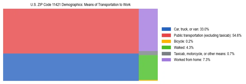 Treemap showing means of transportation to work distribution in US ZIP Code 11421.