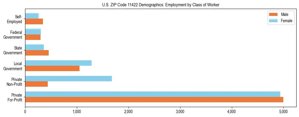 Horizontal bar chart showing employment distribution by class of worker and gender in US ZIP Code 11422, based on 2023 ACS data.