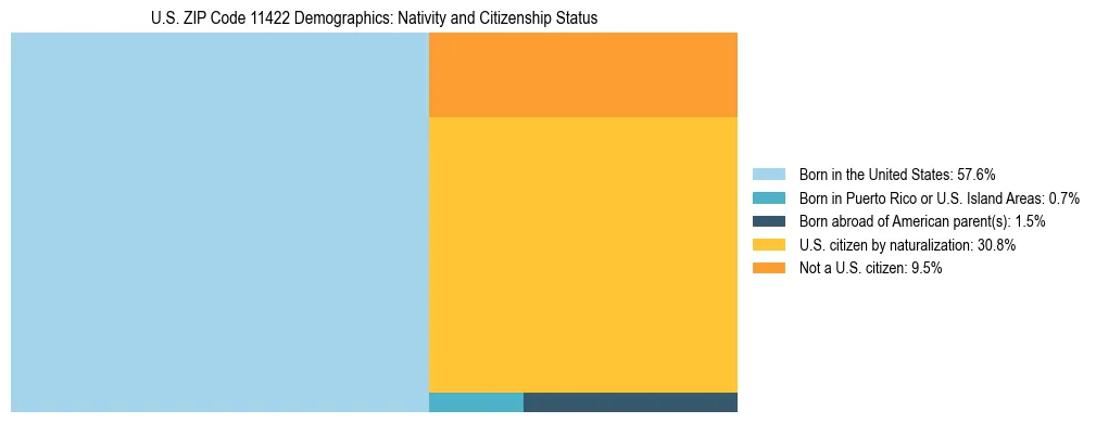 Treemap showing the population distribution by nativity and citizenship status in US ZIP Code 11422 based on U.S. Census data.