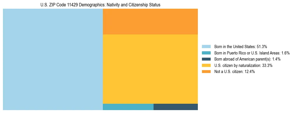Treemap showing the population distribution by nativity and citizenship status in US ZIP Code 11429 based on U.S. Census data.