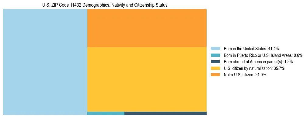 Treemap showing the population distribution by nativity and citizenship status in US ZIP Code 11432 based on U.S. Census data.