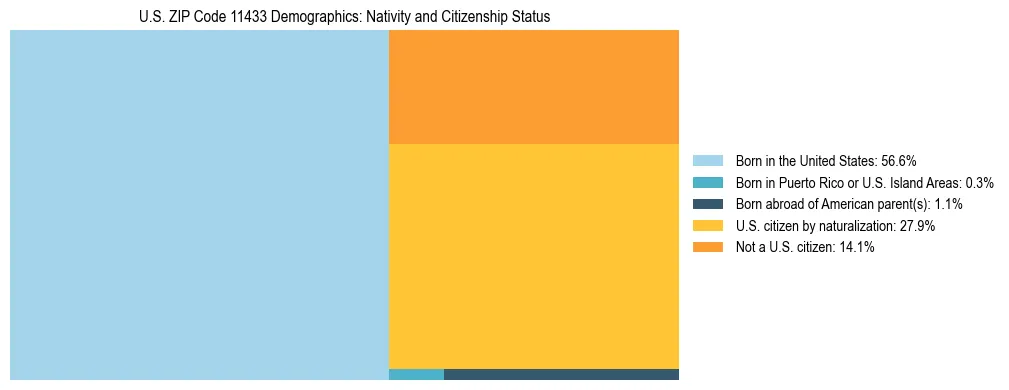 Treemap showing the population distribution by nativity and citizenship status in US ZIP Code 11433 based on U.S. Census data.