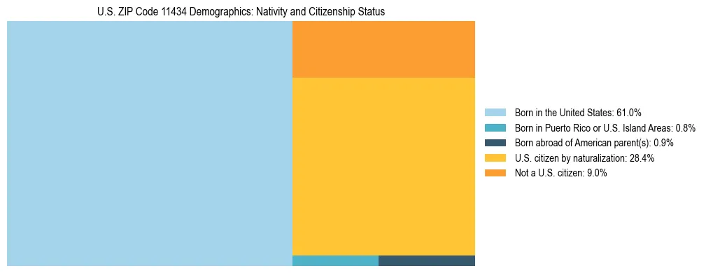 Treemap showing the population distribution by nativity and citizenship status in US ZIP Code 11434 based on U.S. Census data.