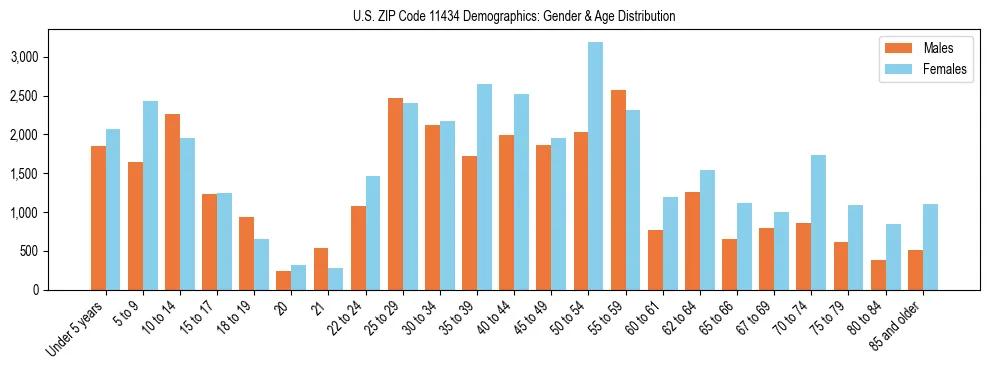 Bar chart showing the population distribution of US ZIP Code 11434 by age group and gender, based on 2023 ACS data.