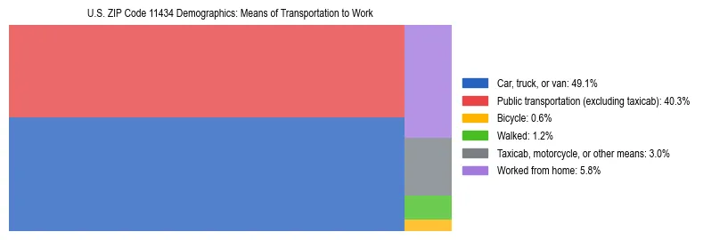 Treemap showing means of transportation to work distribution in US ZIP Code 11434.