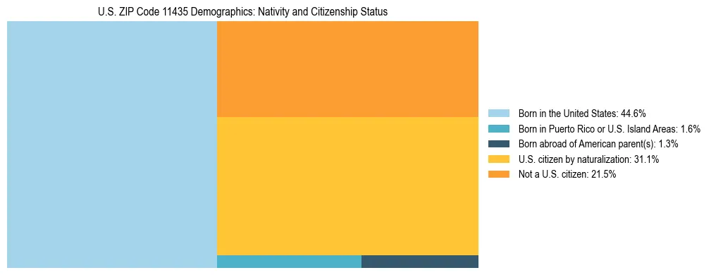 Treemap showing the population distribution by nativity and citizenship status in US ZIP Code 11435 based on U.S. Census data.