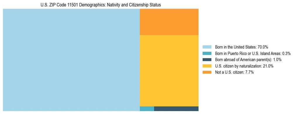 Treemap showing the population distribution by nativity and citizenship status in US ZIP Code 11501 based on U.S. Census data.