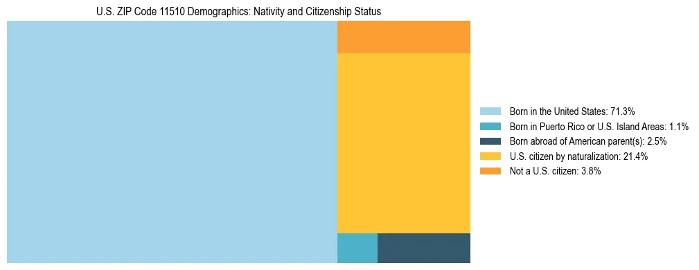 Treemap showing the population distribution by nativity and citizenship status in US ZIP Code 11510 based on U.S. Census data.