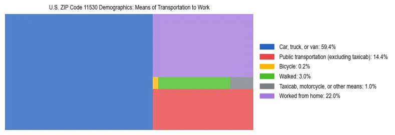 Treemap showing means of transportation to work distribution in US ZIP Code 11530.