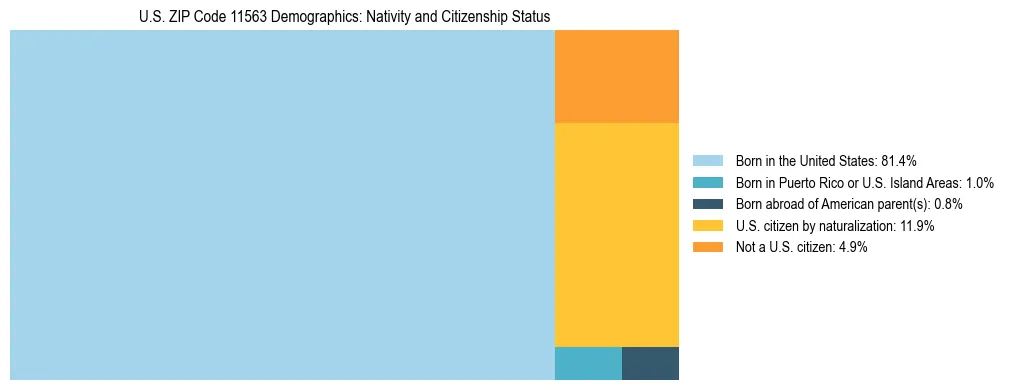 Treemap showing the population distribution by nativity and citizenship status in US ZIP Code 11563 based on U.S. Census data.