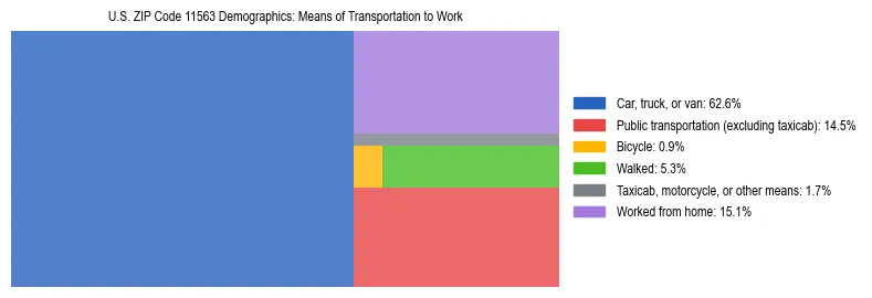 Treemap showing means of transportation to work distribution in US ZIP Code 11563.