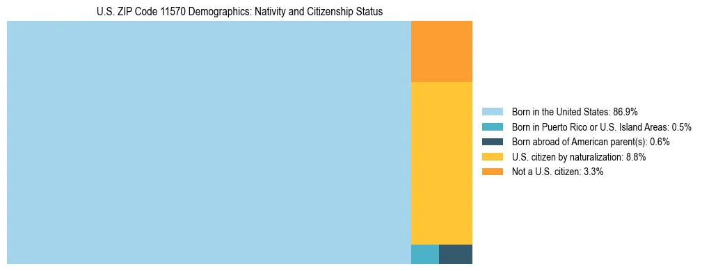 Treemap showing the population distribution by nativity and citizenship status in US ZIP Code 11570 based on U.S. Census data.