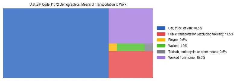 Treemap showing means of transportation to work distribution in US ZIP Code 11572.