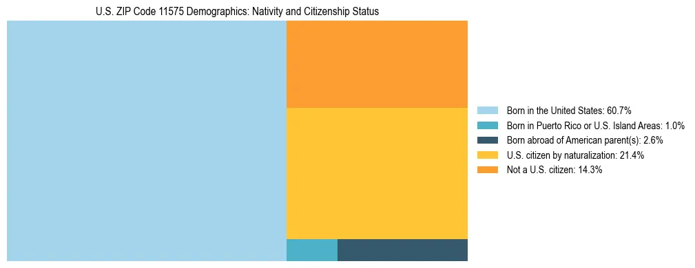 Treemap showing the population distribution by nativity and citizenship status in US ZIP Code 11575 based on U.S. Census data.