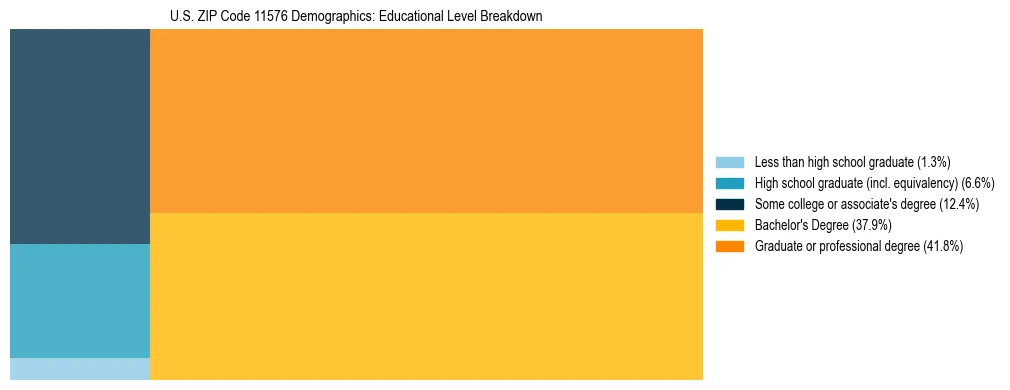 Treemap chart illustrating the educational attainment breakdown for population 25 years and over in US ZIP Code 11576.