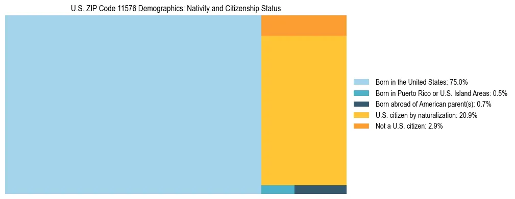 Treemap showing the population distribution by nativity and citizenship status in US ZIP Code 11576 based on U.S. Census data.