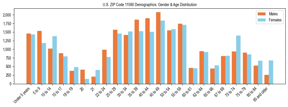 Bar chart showing the population distribution of US ZIP Code 11590 by age group and gender, based on 2023 ACS data.