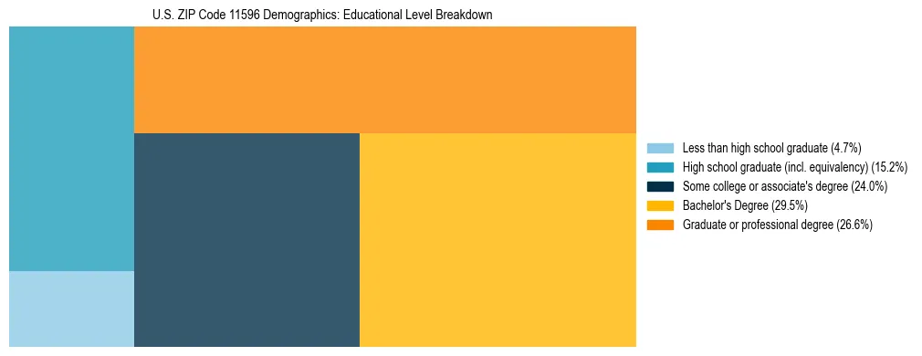 Treemap chart illustrating the educational attainment breakdown for population 25 years and over in US ZIP Code 11596.
