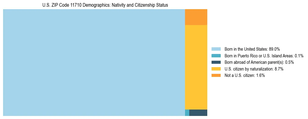 Treemap showing the population distribution by nativity and citizenship status in US ZIP Code 11710 based on U.S. Census data.