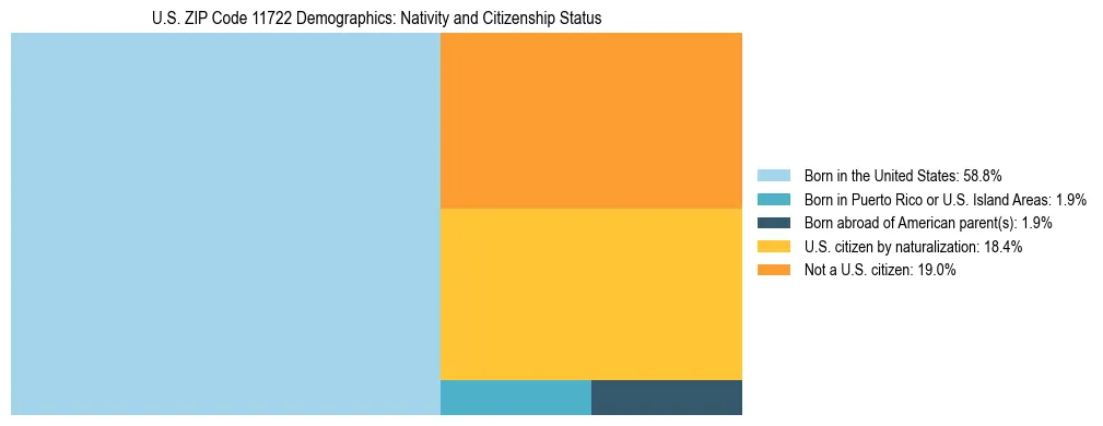 Treemap showing the population distribution by nativity and citizenship status in US ZIP Code 11722 based on U.S. Census data.