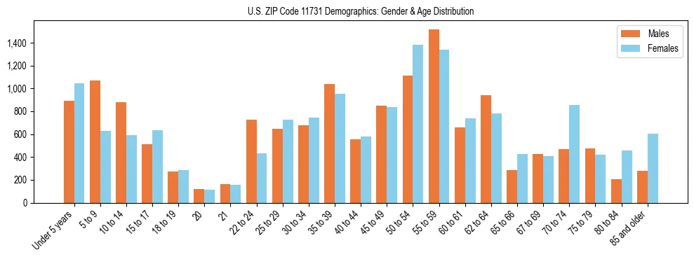 Bar chart showing the population distribution of US ZIP Code 11731 by age group and gender, based on 2023 ACS data.