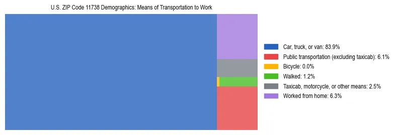 Treemap showing means of transportation to work distribution in US ZIP Code 11738.
